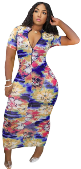 Zip up Multicolored Womens Dress